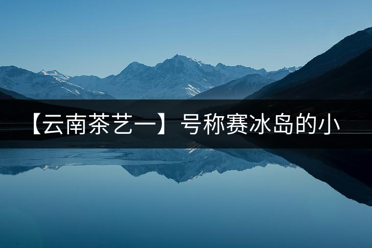 【云南茶藝一】號稱賽冰島的小戶賽憑什么！今天帶大家一起研究下
