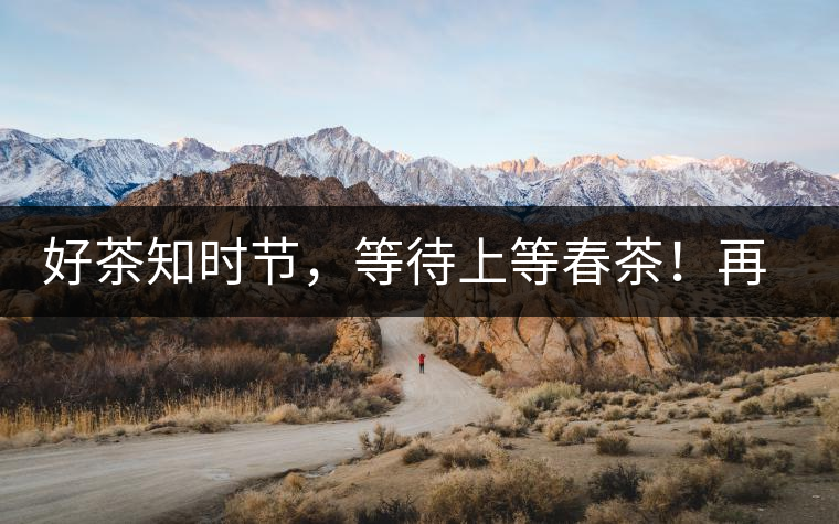 好茶知時(shí)節(jié)，等待上等春茶！再來回味這些年喝過的小戶賽古樹春茶