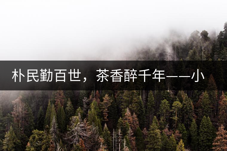 樸民勤百世，茶香醉千年——小戶賽古寨