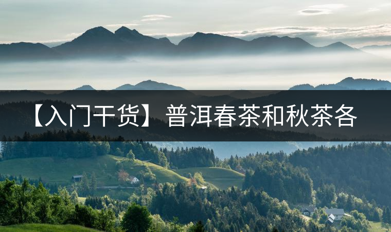 【入門干貨】普洱春茶和秋茶各有什么特點(diǎn)？怎樣辨識？