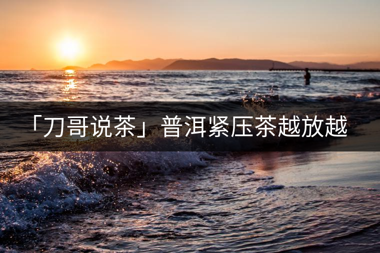 「刀哥說茶」普洱緊壓茶越放越膨脹還是越收縮？