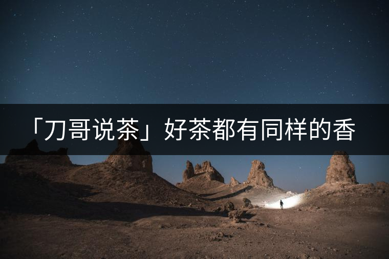 「刀哥說茶」好茶都有同樣的香，破茶卻有不同的味