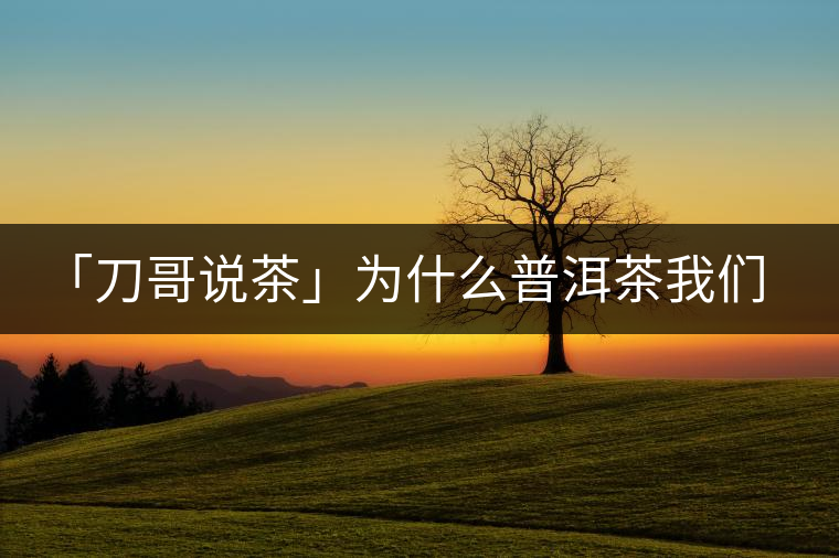 「刀哥說(shuō)茶」為什么普洱茶我們情愿選三無(wú)？
