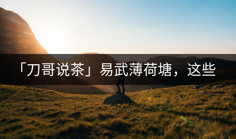「刀哥說(shuō)茶」易武薄荷塘，這些冷知識(shí)你該知道