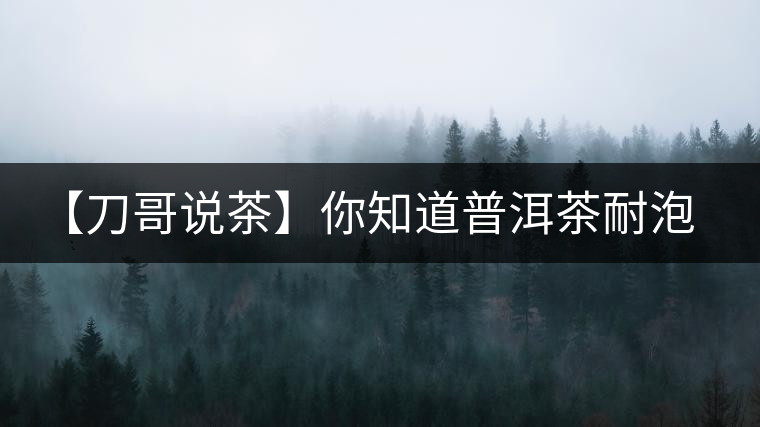 【刀哥說茶】你知道普洱茶耐泡，那你知道哪一類普洱茶比較耐泡？