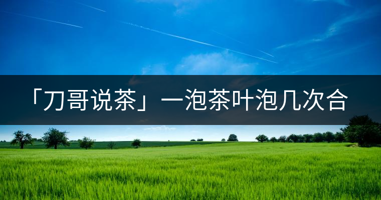 「刀哥說茶」一泡茶葉泡幾次合適?「刀哥說茶」一泡茶葉泡幾次合適？