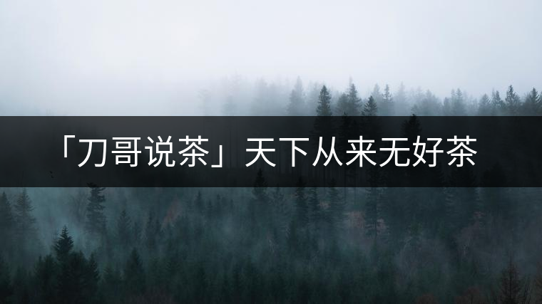 「刀哥說茶」天下從來無好茶