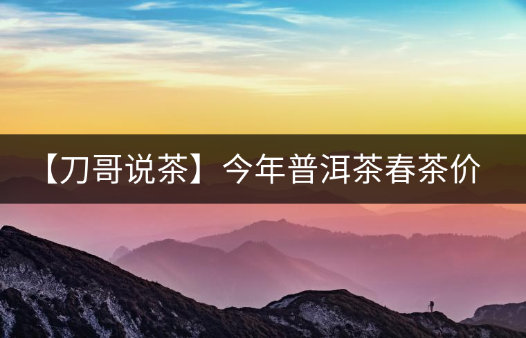 【刀哥說茶】今年普洱茶春茶價格，我不預(yù)測