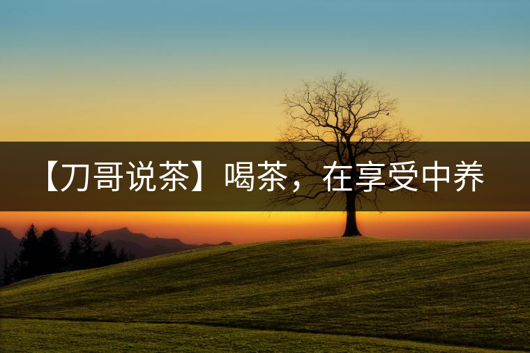 【刀哥說茶】喝茶，在享受中養(yǎng)生的最佳選擇