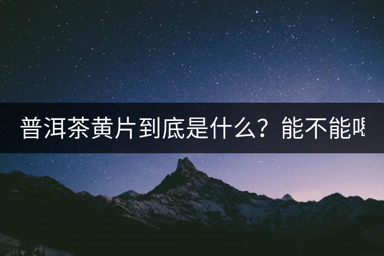 普洱茶黃片到底是什么？能不能喝？