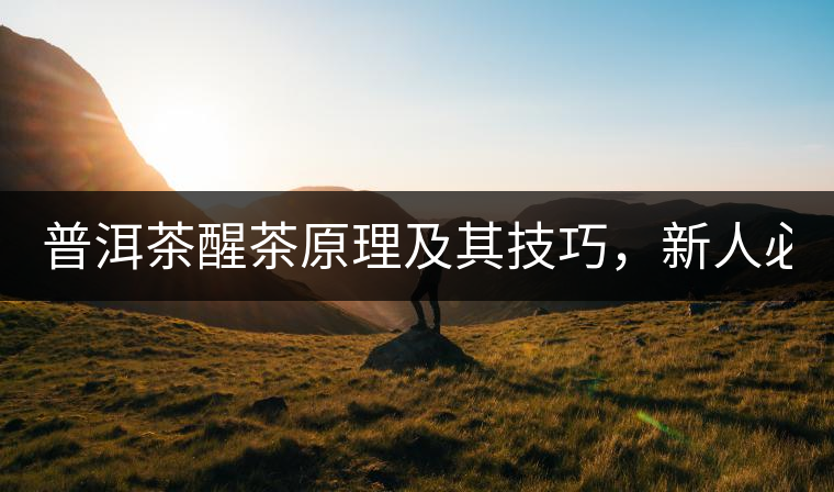 普洱茶醒茶原理及其技巧，新人必備！