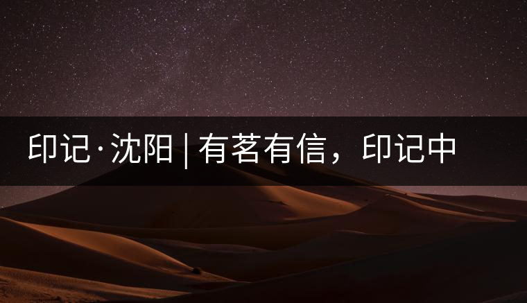 印記·沈陽(yáng) | 有茗有信，印記中茶，中茶普洱亮相沈陽(yáng)茶博會(huì)