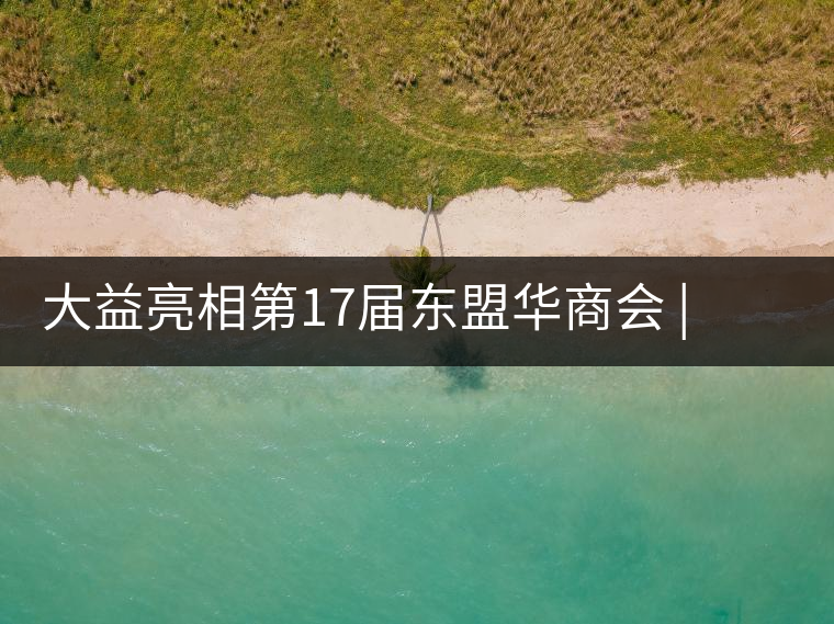 大益亮相第17屆東盟華商會 | 海內(nèi)外嘉賓共謀發(fā)展，共品大益茶