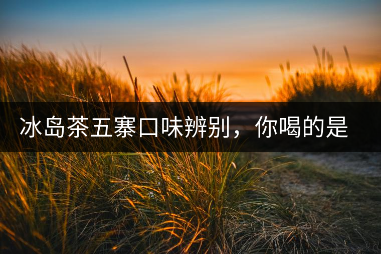 冰島茶五寨口味辨別，你喝的是正宗冰島茶嗎?冰島茶五寨口味辨別，你喝的是正宗冰島茶嗎？