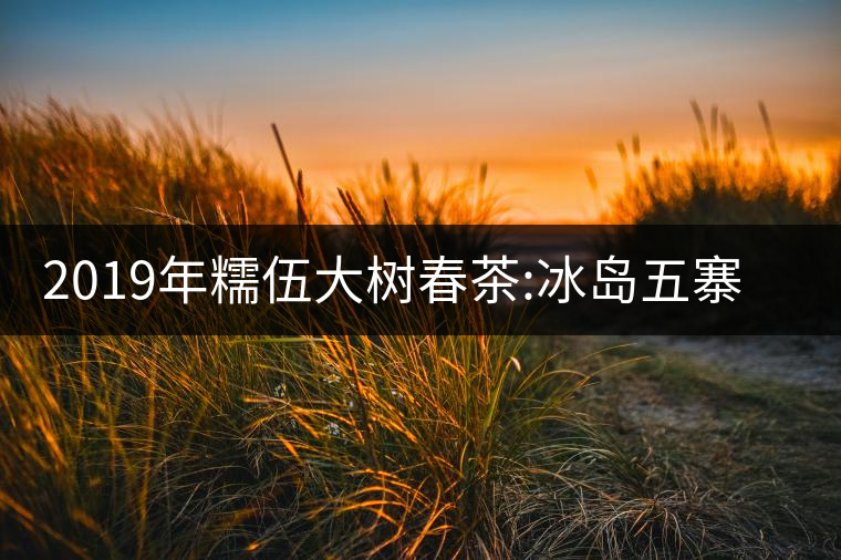 2019年糯伍大樹春茶:冰島五寨甜柔口感的代表，售價不...2019年糯伍大樹春茶：冰島五寨甜柔口感的代表，售價不到500