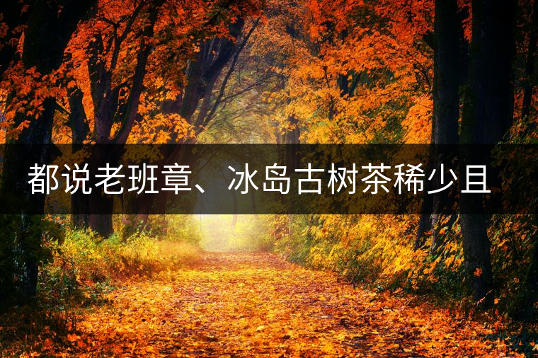 都說老班章、冰島古樹茶稀少且貴，那為什么你能輕易買到都說老班章、冰島古樹茶稀少且貴，那為什么你能輕易買到