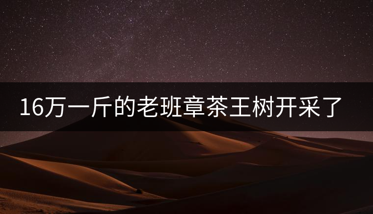 16萬(wàn)一斤的老班章茶王樹(shù)開(kāi)采了，茶友果斷拉了一車(chē)現(xiàn)金去...16萬(wàn)一斤的老班章茶王樹(shù)開(kāi)采了，茶友果斷拉了一車(chē)現(xiàn)金去！