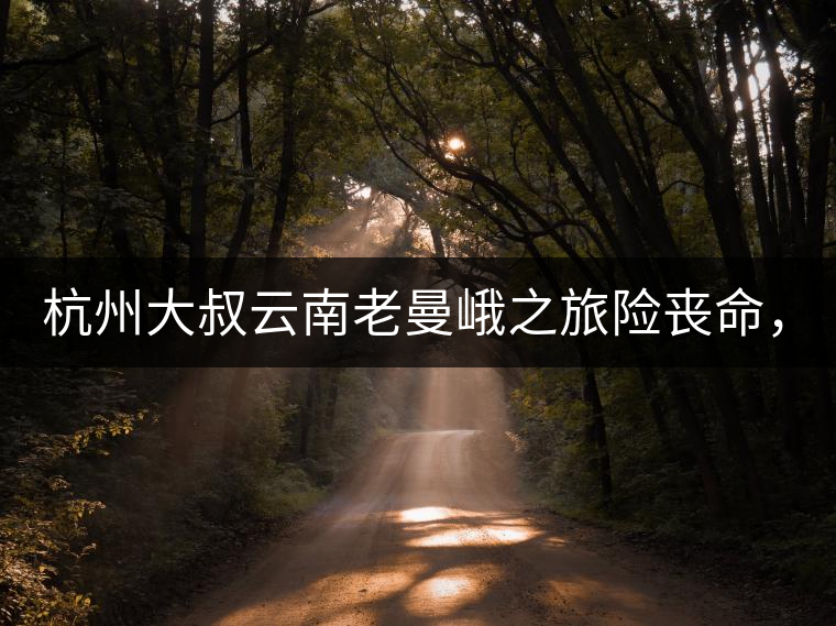 杭州大叔云南老曼峨之旅險喪命，買下茶園種茶，成普...杭州大叔云南老曼峨之旅險喪命，買下茶園種茶，成普洱圈網(wǎng)紅