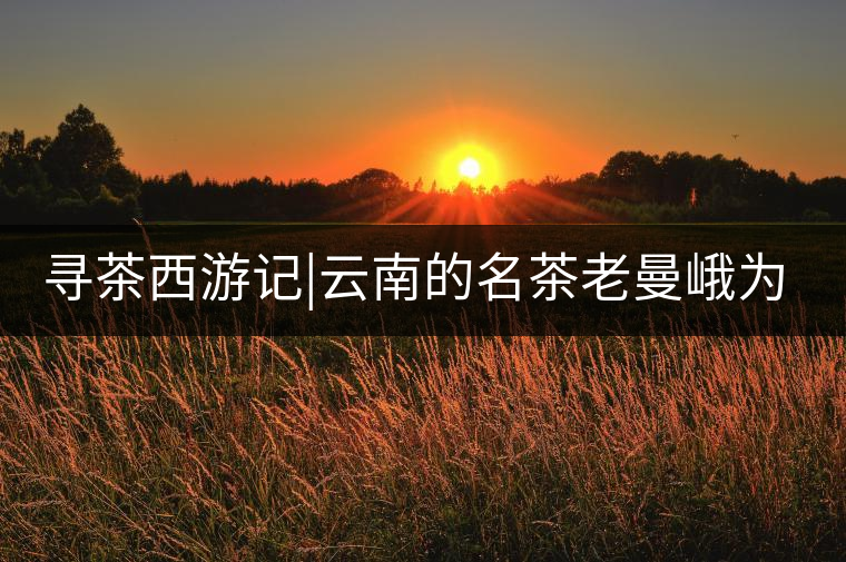 尋茶西游記|云南的名茶老曼峨為什么這么多人愛，這里...尋茶西游記｜云南的名茶老曼峨為什么這么多人愛，這里給你答案！