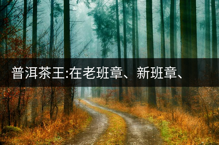 普洱茶王:在老班章、新班章、老曼峨之間普洱茶王：在老班章、新班章、老曼峨之間