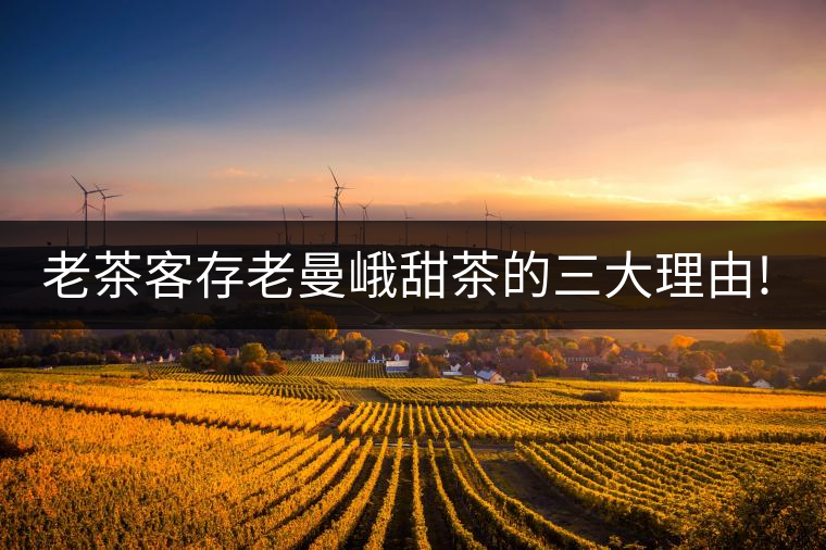老茶客存老曼峨甜茶的三大理由!老茶客存老曼峨甜茶的三大理由！