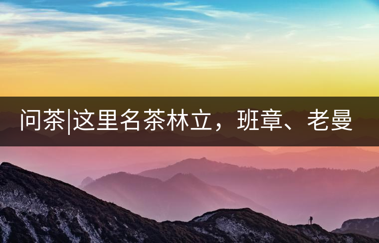 問茶|這里名茶林立，班章、老曼峨皆在其列!問茶｜這里名茶林立，班章、老曼峨皆在其列！