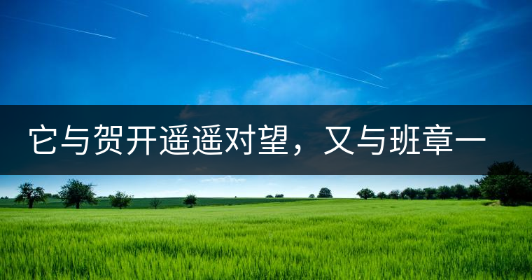 它與賀開遙遙對望，又與班章一衣帶水，它是班盆古樹春尖它與賀開遙遙對望，又與班章一衣帶水，它是班盆古樹春尖