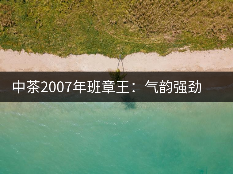 中茶2007年班章王：氣韻強(qiáng)勁，蜂蜜水般甜潤(rùn)，一直被老茶客撿漏