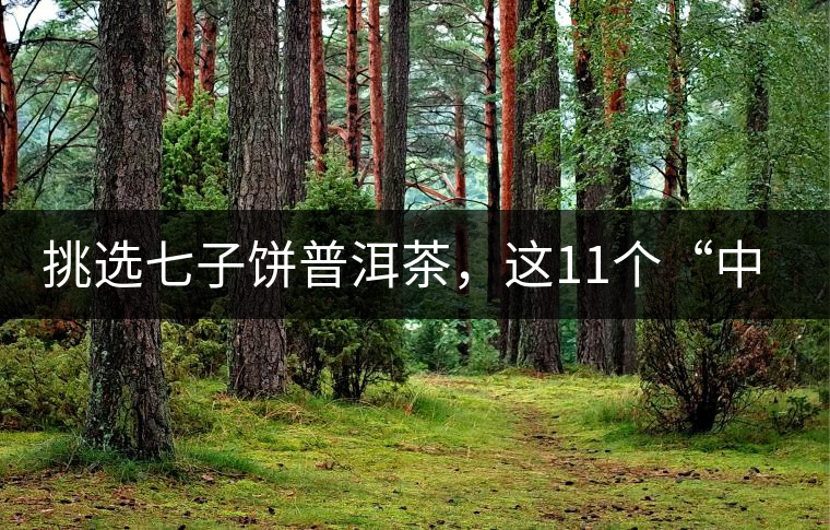 挑選七子餅普洱茶，這11個“中茶”標(biāo)志千萬別弄混!挑選七子餅普洱茶，這11個“中茶”標(biāo)志千萬別弄混！