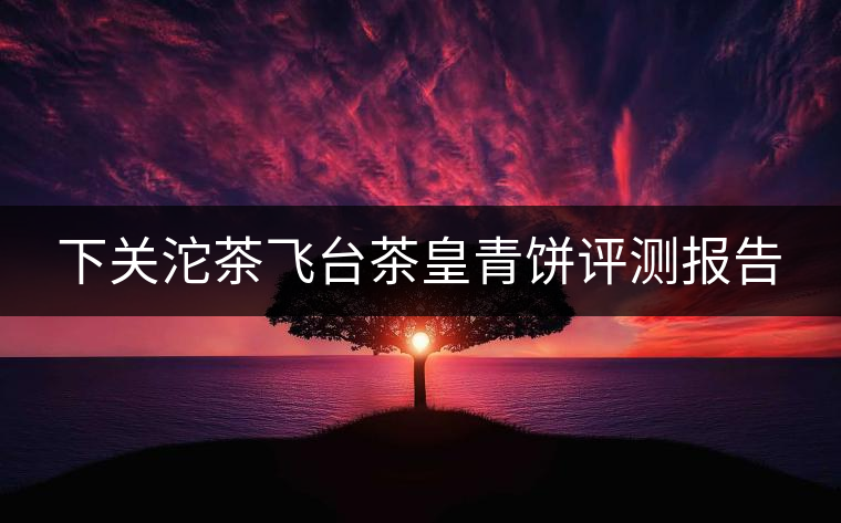 下關(guān)沱茶飛臺茶皇青餅評測報(bào)告