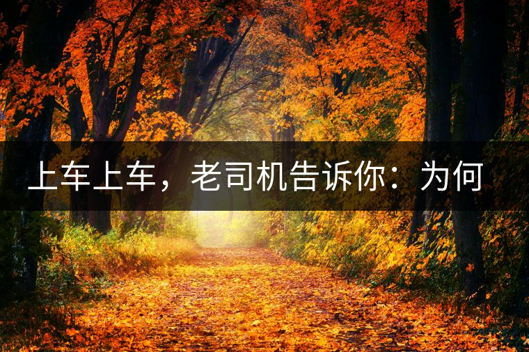 上車上車，老司機(jī)告訴你：為何明前茶貴如金