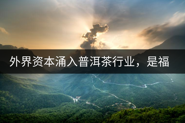 外界資本涌入普洱茶行業(yè)，是福還是禍？