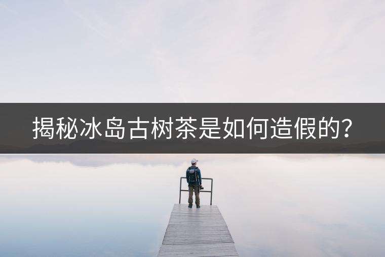 揭秘冰島古樹茶是如何造假的？