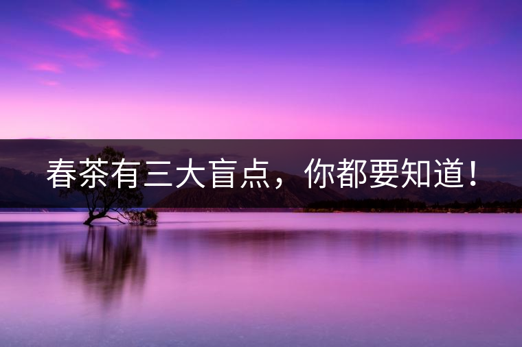 春茶有三大盲點，你都要知道！