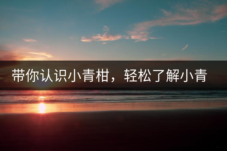 帶你認識小青柑，輕松了解小青柑的前世今生