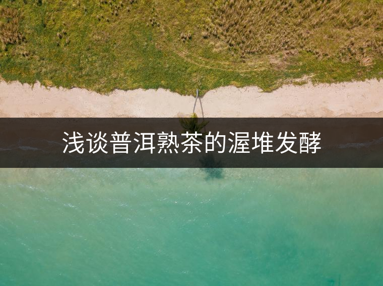 淺談普洱熟茶的渥堆發(fā)酵