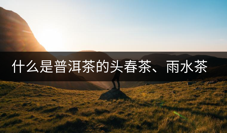 什么是普洱茶的頭春茶、雨水茶和谷花茶，怎樣區(qū)別？