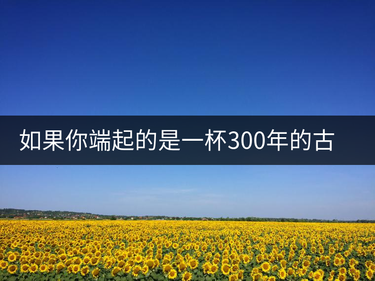 如果你端起的是一杯300年的古樹(shù)茶，那會(huì)是一種怎樣的心境？