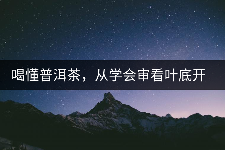 喝懂普洱茶，從學(xué)會(huì)審看葉底開始
