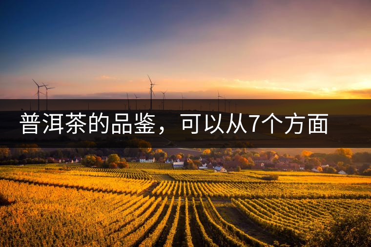 普洱茶的品鑒，可以從7個(gè)方面著手