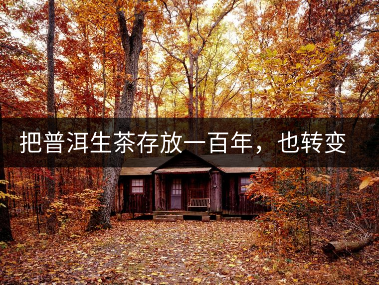 把普洱生茶存放一百年，也轉(zhuǎn)變不成熟茶