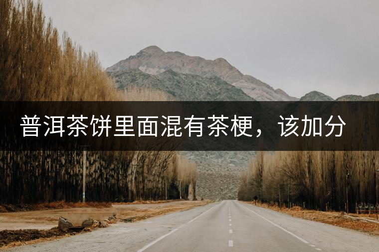 普洱茶餅里面混有茶梗，該加分還是減分？