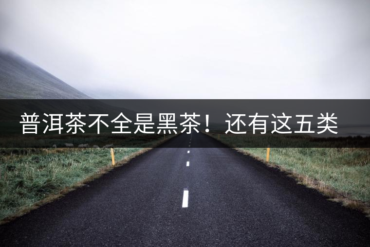 普洱茶不全是黑茶！還有這五類(lèi)茶，現(xiàn)在知道還不算晚