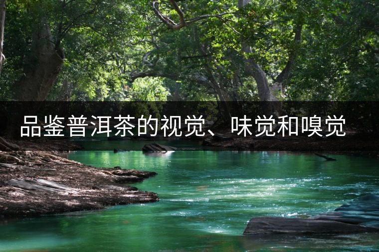 品鑒普洱茶的視覺、味覺和嗅覺指標