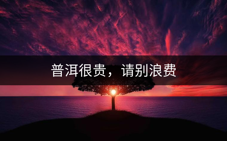 普洱很貴，請(qǐng)別浪費(fèi)