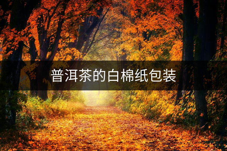 普洱茶的白棉紙包裝 普洱茶的白棉紙包裝