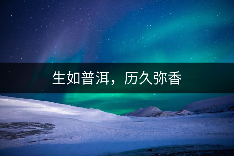 生如普洱，歷久彌香