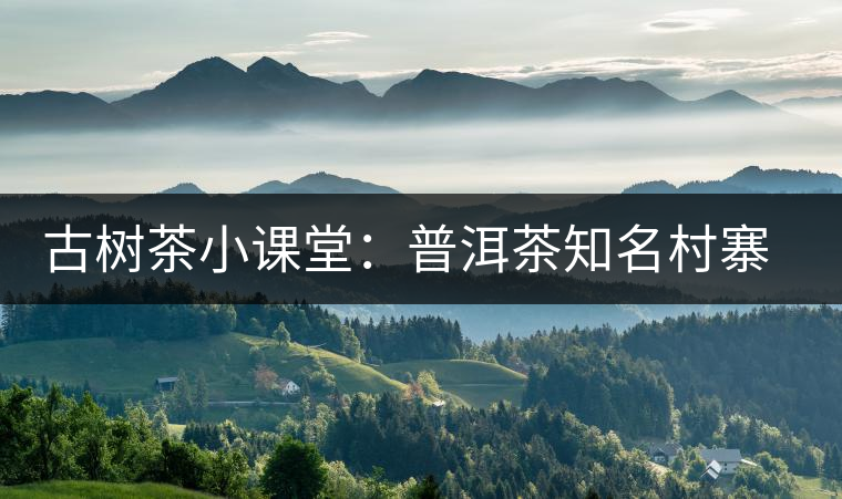 古樹茶小課堂：普洱茶知名村寨的生態(tài)環(huán)境如何？