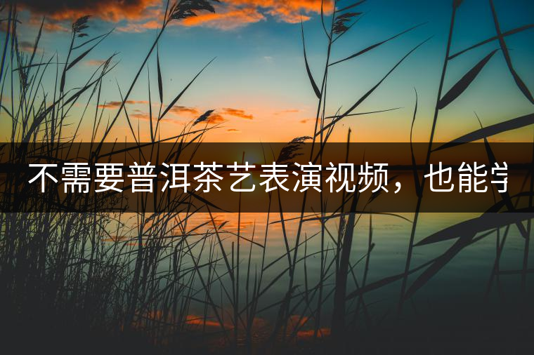 不需要普洱茶藝表演視頻，也能學(xué)會(huì)的茶藝！