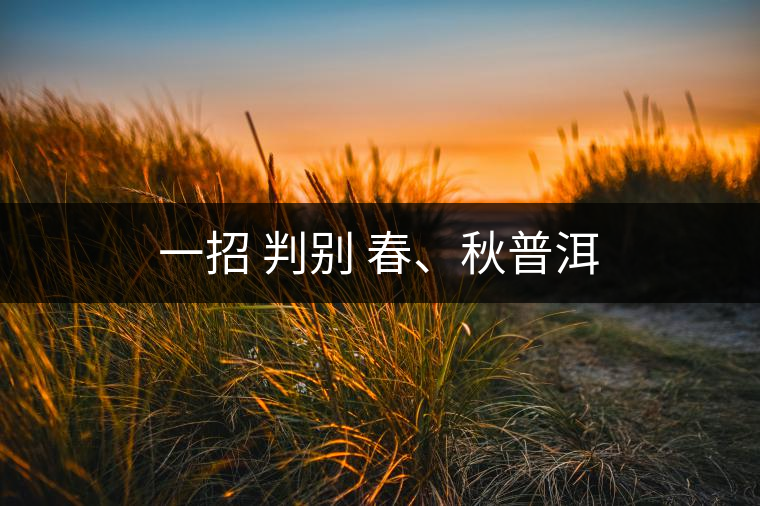 一招 判別 春、秋普洱